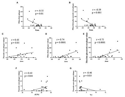 Red Blood Cell Morphodynamics: A New Potential Marker in High-Risk Patients